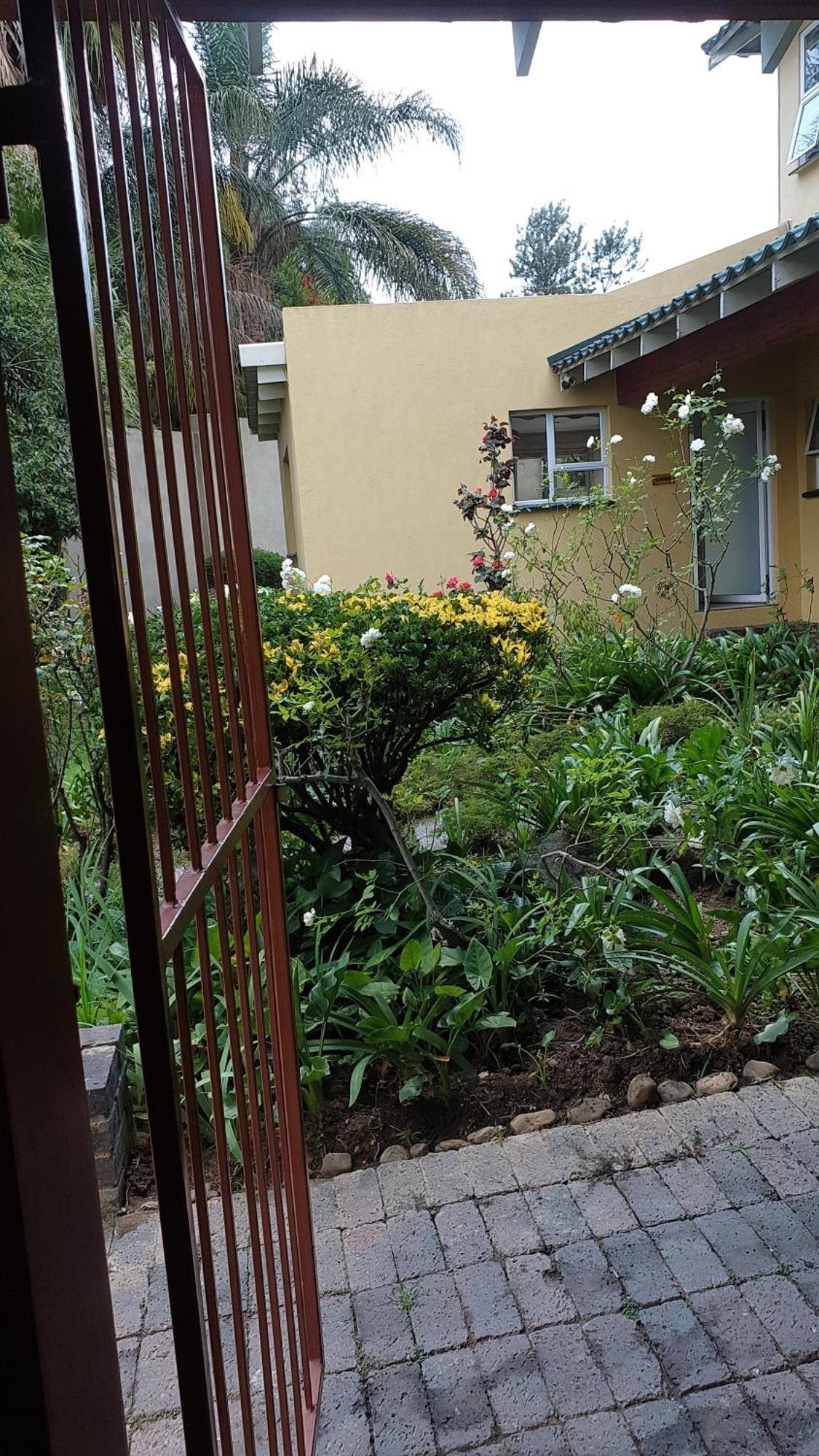 Matina Guest House Johannesburg Phòng bức ảnh